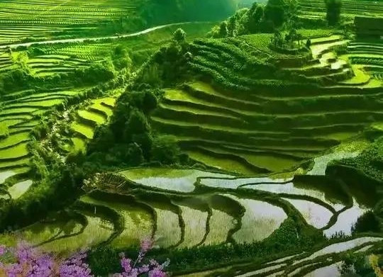【世界作家】诗坛的乱象说-上海著名签约作家王佐臣专辑（2234）