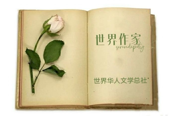 【世界作家】夏日爽爽的凉-海内外双星双子行精品窗（2235）